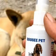 Спрей від грибка шкіри для собак і котів Pet Skin Fungus Treatment